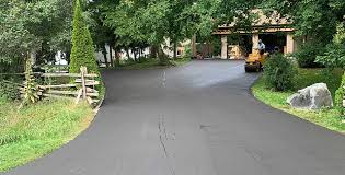 Best Driveway Pressure Washing  in Magnolia, AR